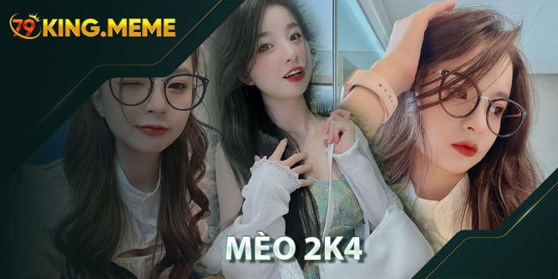 Mèo 2k4